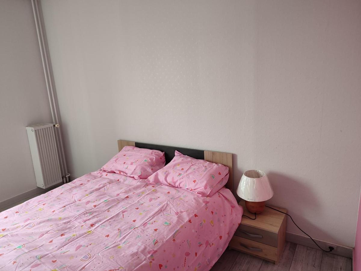 Grand Et Superbe Appartement Proche Paris Creil Exterior photo
